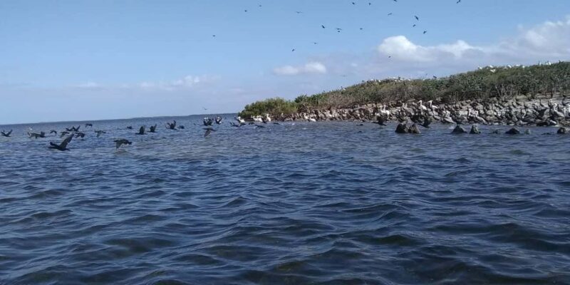 Rio Lagartos and San Felipe: Cerritos Island, adventure tour and Mayan culture. - The Mayan Cultural Experience with a Natural Clay Bath