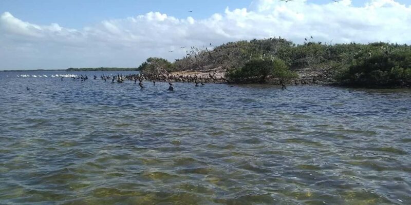 Rio Lagartos and San Felipe: Cerritos Island, adventure tour and Mayan culture. - What’s Included and What to Keep in Mind