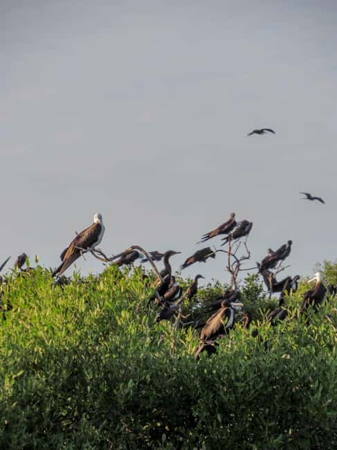 Rio Lagartos and San Felipe: Cerritos Island, adventure tour and Mayan culture. - Why Choose This Tour: Value and Experience