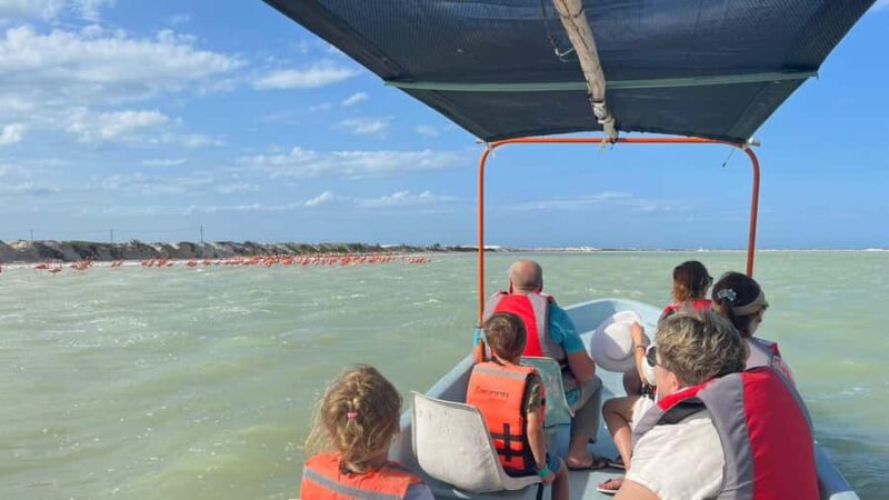 Río Lagartos & Las Coloradas Boat Tour: Flamingos, Mangroves - Starting Point at Maleconcito Gourmet
