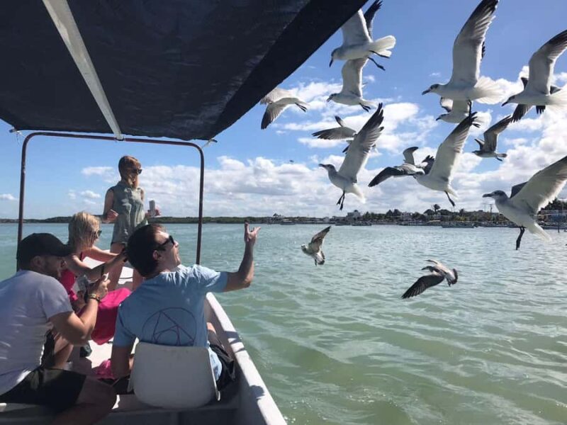 Río Lagartos & Las Coloradas Boat Tour: Flamingos, Mangroves - Practical Details: Booking, Payment, and Group Size