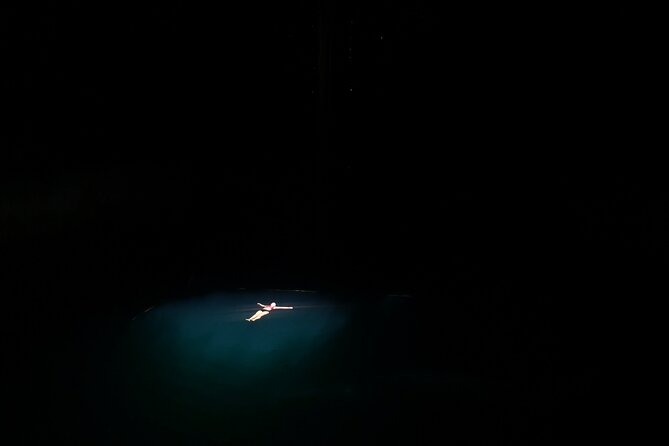 Rio Lagartos+Coloradas Tourist Collective (Lake Rosa)+Cenote - Insights from Reviews