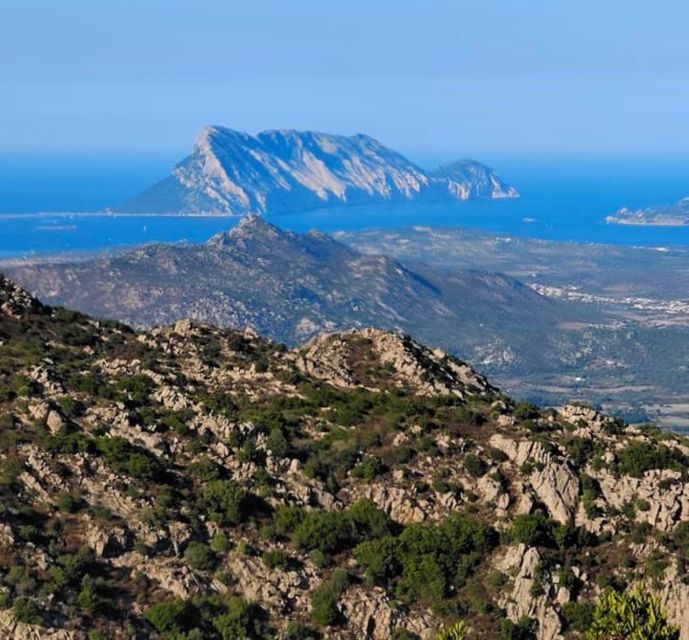 Rio Pitrisconi: Hiking e 4x4 nel Monte Nieddu - Sardinian Tasting: Local Products and Flavors