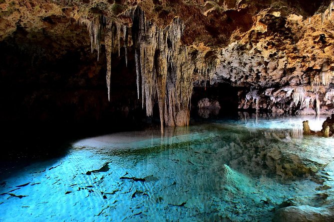 Rio Secreto Skip-the-Line Admission Ticket - Access and Logistics for Visiting Rio Secreto