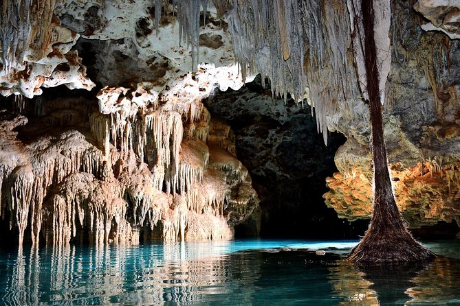 Rio Secreto Skip-the-Line Admission Ticket - Common Praise for Guides and Overall Experience