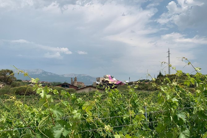 Rioja Alavesa Wineries and Medieval Villages Day Trip - The Private Guide: Personalized and Insightful