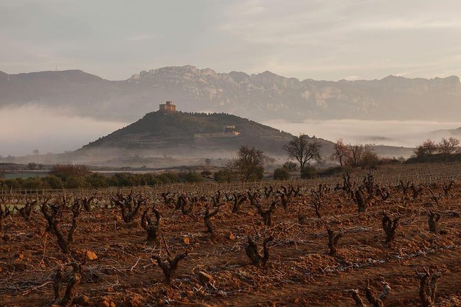 Rioja Alavesa Wineries and Medieval Villages Day Trip - What Sets This Tour Apart from Others