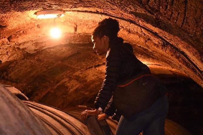 Rioja Alta and Rioja Alavesa Wine Tour - Visiting the Underground Wine Cave