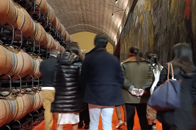 Rioja Day Tour: Explore Three Wineries with Tastings - Rioja Day Tour: Explore Three Wineries with Tastings