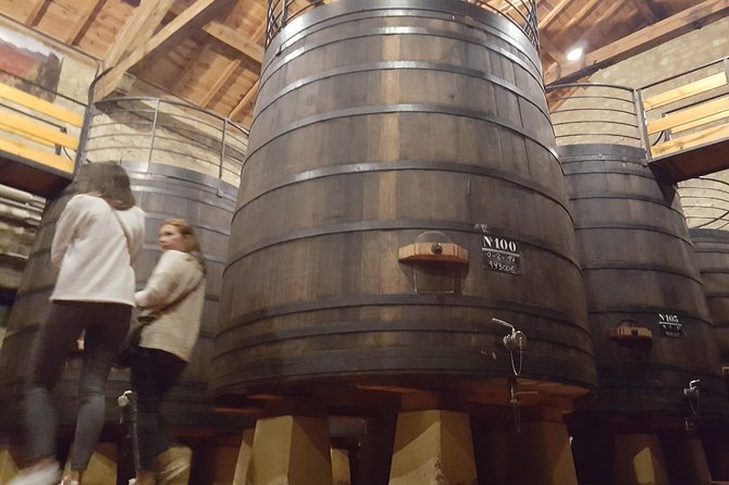 Rioja Full Experience Tour from San Sebastian with Lunch - Departing from San Sebastian with Hassle-Free Transport