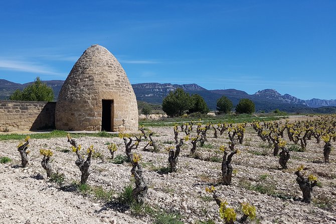 Rioja Full Experience Tour from San Sebastian with Lunch - Cultural Tour of Laguardia’s Medieval Charm