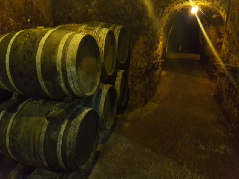 Rioja: Private Wine Tasting Tour - Private Transport and Expert Guidance for a Seamless Day