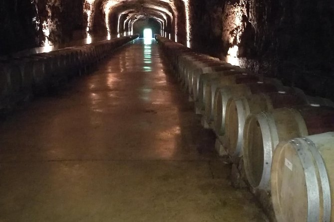 Rioja Wine Private Tour from San Sebastian - Exploring Bodegas y Vinedos Gomez Cruzado