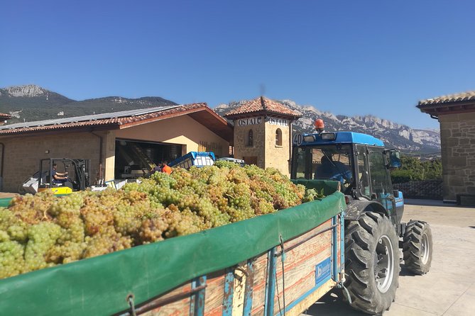 Rioja Wine Private Tour from San Sebastian - Tasting Reds or Whites at Bodegas Luis Cañas