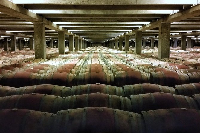 Rioja Wine Route with winery owner - The Guide: Knowledgeable, Friendly, and Engaging