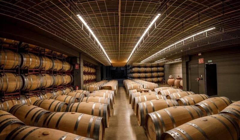 Rioja: Wine tasting and sampling at the Martínez Alesanco family winery - Discover the Authentic Rioja Experience at Bodega Pedro Martínez Alesanco