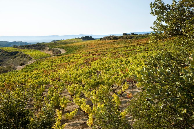 Rioja Wine Tour: 2 Wineries From Bilbao - Transportation and Group Convenience