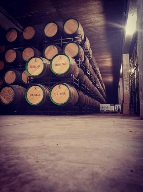 Rioja Wine Tour: 3 Wineries & Pintxos Lunch - Rioja Wine Tour: 3 Wineries & Pintxos Lunch