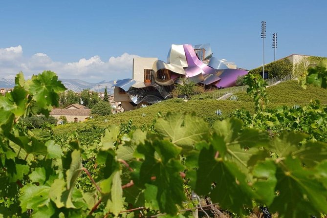 Rioja Wine Tour: Winery & Traditional Lunch From Bilbao - Exploring Laguardia: The Medieval Village