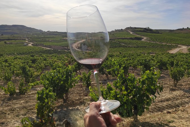Rioja Wine Tour: Winery & Traditional Lunch From Pamplona - Discover the Rioja Wine Tour from Pamplona for an Authentic Experience