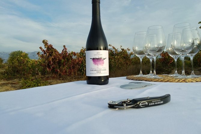 Rioja Wine Tour: Winery & Traditional Lunch From Pamplona - Guided Tour and Tasting at the First Winery