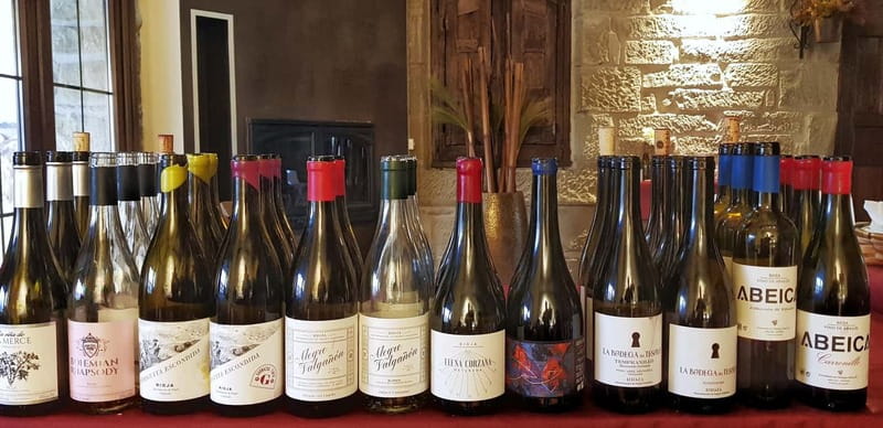 RIOJA: WINE TOUR WITH A WINERY OWNER - Exploring Rioja’s Wineries with a Passionate Host