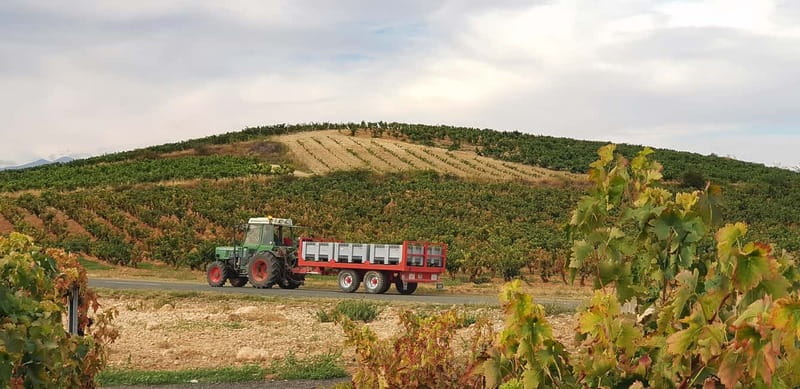 RIOJA: WINE TOUR WITH A WINERY OWNER - Scenic Drives and Views of Rioja’s Countryside