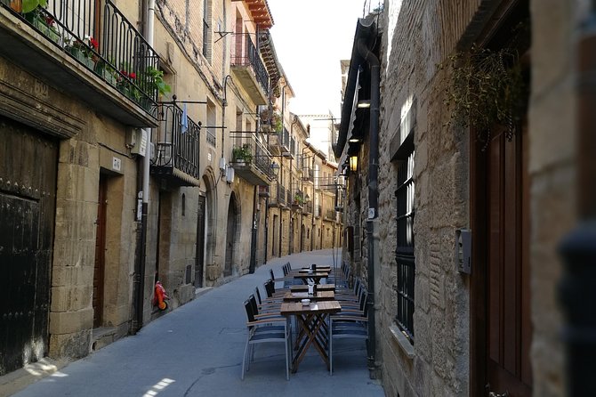 Rioja winery hopping tour from San Sebastian - Logistics and What’s Included