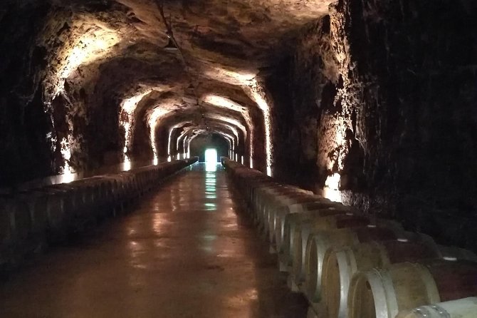 Rioja winery hopping tour from San Sebastian - What’s Not Included: Lunch and Additional Purchases