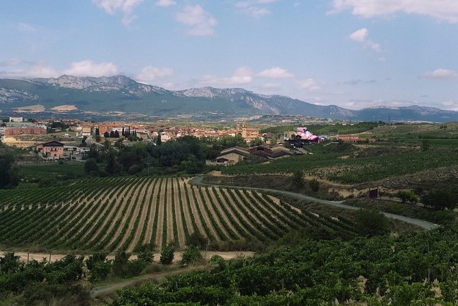 Rioja winery hopping tour from San Sebastian - Rioja Winery Hopping from San Sebastian: Final Thoughts