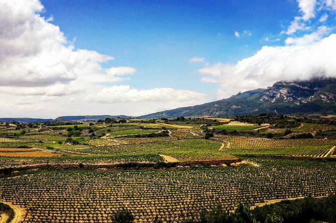 Rioja's Top wines tasting private tour - The Private Tour Experience Starts with Pickup and Customization