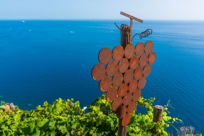 Riomaggiore: Vineyard & Wine Cellar Tour with Wine Tasting - Riomaggiores Enchanting Vineyards Overlooking the Sea