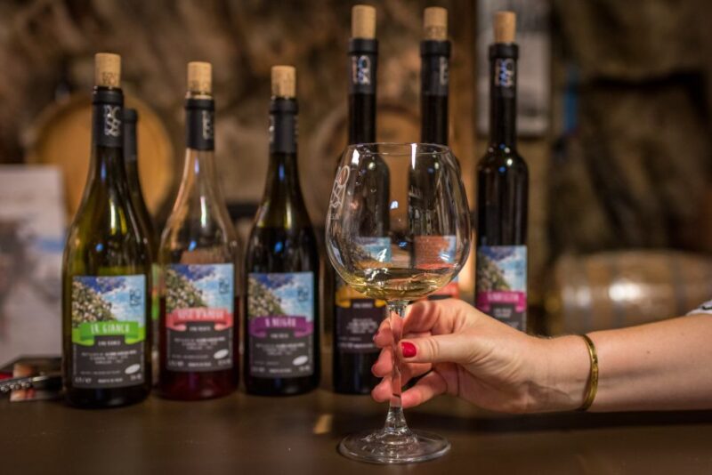 Riomaggiore: Vineyard & Wine Cellar Tour with Wine Tasting - Tasting Five Organic Italian Wines in a Cellar Setting