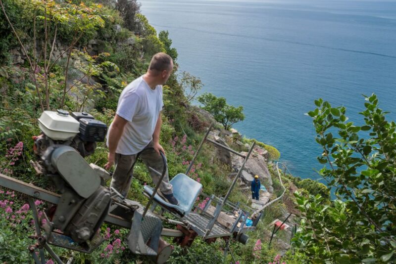 Riomaggiore: Vineyard & Wine Cellar Tour with Wine Tasting - Accessibility and Group Size