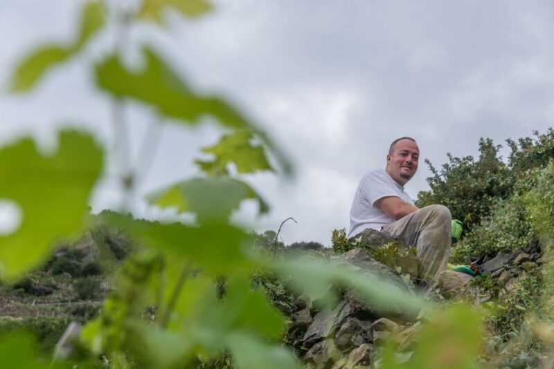 Riomaggiore: Vineyard & Wine Cellar Tour with Wine Tasting - Who Will Enjoy This Tour Most?