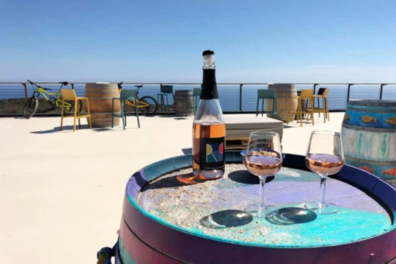 Ripalte by e-bike with tasting on the most beautiful terrace in Elba - Guided Tour with Riding Tips and Scenic Stops