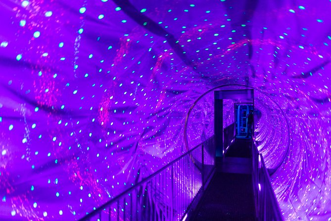 Ripley's Believe It or Not! Amsterdam Admission Ticket - The Variety of Exhibits and Artifacts