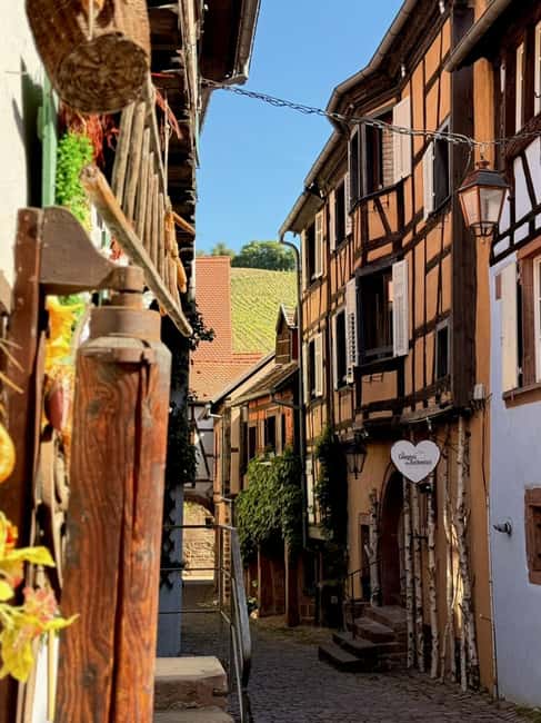 Riquewihr: the pearl of the vineyards with a local guide and tastings - Key Points