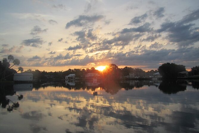 River Cruise Tour with Manatee Viewing - Crystal River’s Wildlife and Ecology Explored
