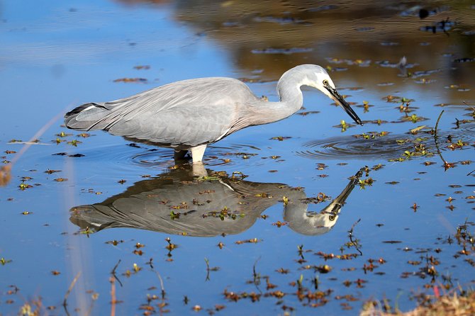 River Guru Rio Grande Mindfulness Adventure( remotely hosted) - Practical Details and Booking Considerations
