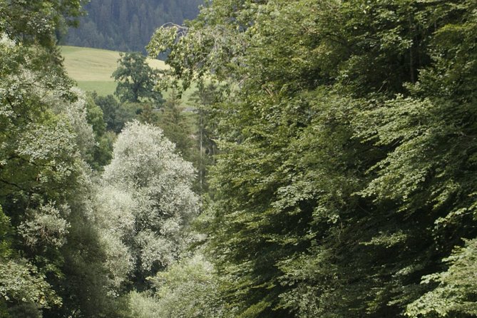 River Rafting Simme with OUTDOOR - Scenic Location Near Interlaken for Swift Getaways