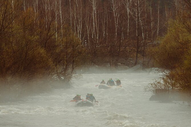 River Rafting Trip from Brasov - Exciting 14 km River Rafting Adventure from Brasov at an Affordable Price