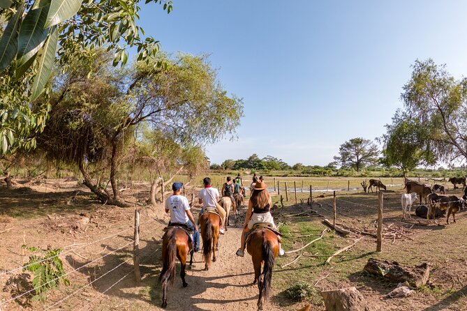 River Trail Horseback Riding Adventure - What Makes the River Trail Horseback Ride Stand Out