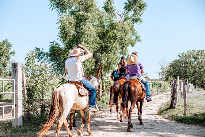 River Trail Horseback Riding Adventure - Learning About Mexican Cowboys and Horse Riding Basics