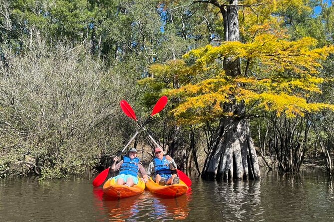River Tubing & Kayaking - The Stops on the Itinerary: River Island and North Myrtle Beach