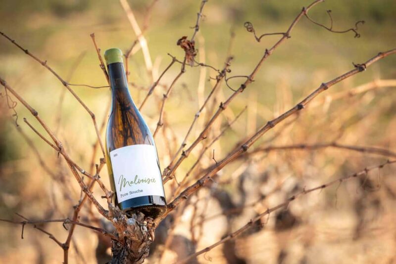 Rivesaltes - Secrets du Terroir and Unique Wine Tasting! - Key Points