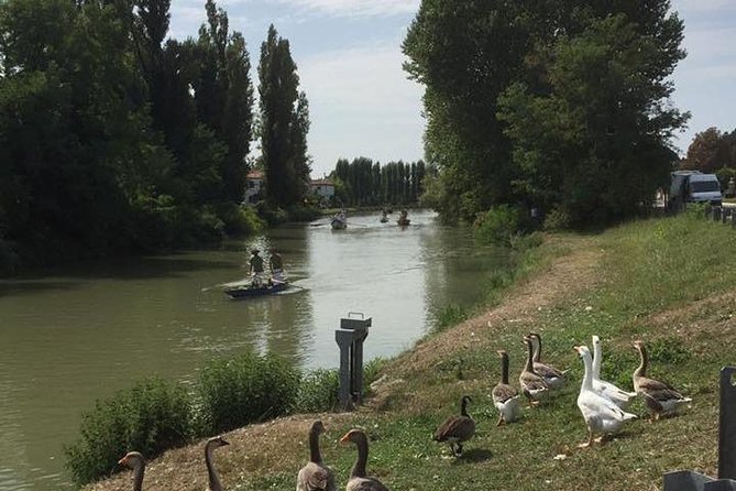 Riviera del Brenta Bike Tour - Bicycle Quality and Equipment