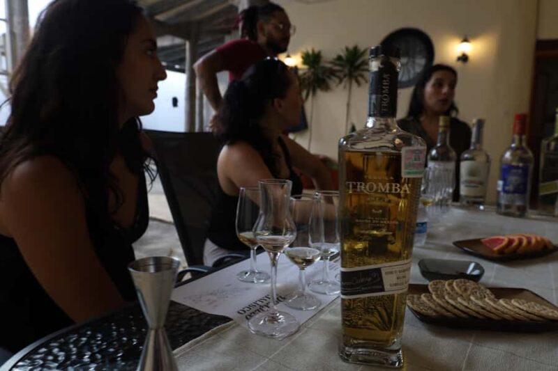 Riviera Maya: 2 hr Tequila Tasting with an Expert - Accessibility and Practical Considerations