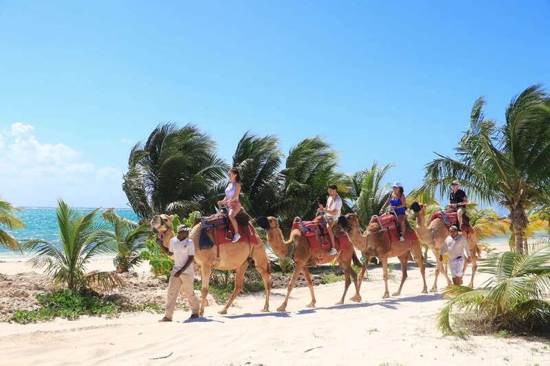Riviera Maya: Camel Caravan Expedition and Beach Club Access - Riding a Camel in the Caribbean: What Makes It Special?
