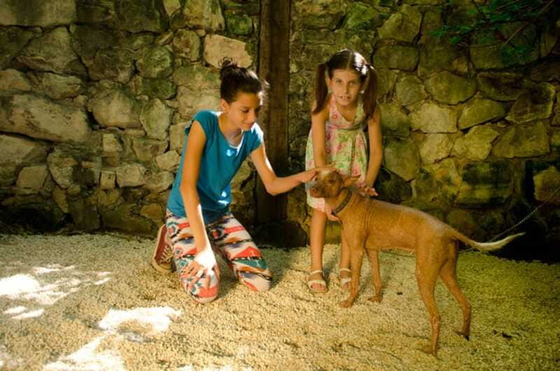 Riviera Maya: Croco Cun Interactive Zoo Tour - The Value of Supporting Conservation Efforts